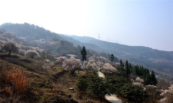 平武平通梅林自驾游(一)